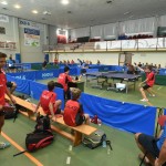 Pokal Krasa namizni tenis