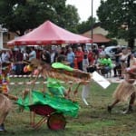 Karjola Challenge 2019