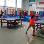 Od danes do nedelje Pokal Krasa