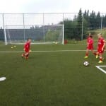 Zarjini začetniki, cicibani na pripravah na Rogli