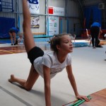 Gimnastika Bor