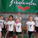 Gimnastika Bor