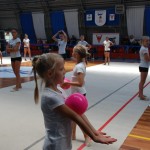 Gimnastika Bor