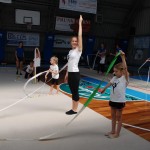 Gimnastika Bor