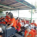 Poletni center AŠD Sokol