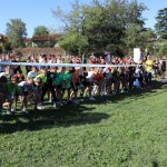 Več kot 300 udeležencev na šolskem teku