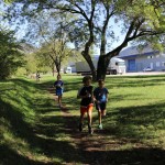 Več kot 300 udeležencev na šolskem teku