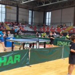 Memorial Kajuh: Krasovi najmlajši so se dobro odrezali