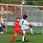 Mlajši cicbani : Kras Repen - Vesna