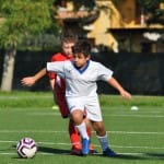 Mlajši cicbani : Kras Repen - Vesna