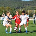 Mlajši cicbani : Kras Repen - Vesna