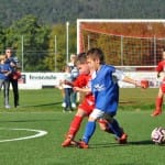 Mlajši cicbani : Kras Repen - Vesna