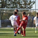 Mlajši cicbani : Kras Repen - Vesna