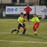 Mlajši cicibani: Primorje - Fani Olimpia