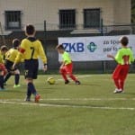 Mlajši cicibani: Primorje - Fani Olimpia