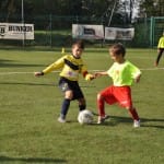 Mlajši cicibani: Primorje - Fani Olimpia