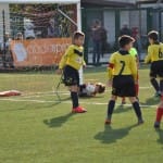 Mlajši cicibani: Primorje - Fani Olimpia