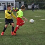 Mlajši cicibani: Primorje - Fani Olimpia