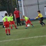 Mlajši cicibani: Primorje - Fani Olimpia