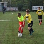 Mlajši cicibani: Primorje - Fani Olimpia