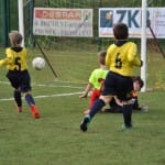 Mlajši cicibani: Primorje - Fani Olimpia