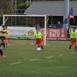 Mlajši cicibani: Primorje - Fani Olimpia