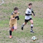 Sport - nogomet - POKRAJINSKI U17 -  Kras Repen - Roianese