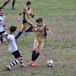 Sport - nogomet - POKRAJINSKI U17 -  Kras Repen - Roianese