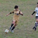 Sport - nogomet - POKRAJINSKI U17 -  Kras Repen - Roianese