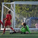 Cicibani: Kras Repen - Primorje