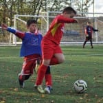 Cicibani: Kras Repen - Primorje