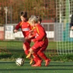 Cicibani: Kras Repen - Primorje