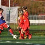 Cicibani: Kras Repen - Primorje