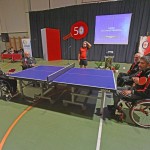 Sport -  50-letnica delovanja namiznega tenisa SK Kras