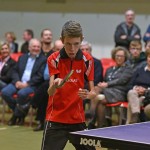 Sport -  50-letnica delovanja namiznega tenisa SK Kras