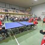 Sport -  50-letnica delovanja namiznega tenisa SK Kras