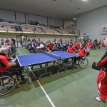 Sport -  50-letnica delovanja namiznega tenisa SK Kras