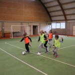 ZSŠDI, Žile na šoli: v torek v Špetru in v sredo v Sovodnjah