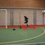 ZSŠDI, Žile na šoli: v torek v Špetru in v sredo v Sovodnjah