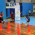 ZSŠDI, Skokičin vrtiljak: tretja etapa na Stadionu 1. maja