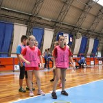 ZSŠDI, Skokičin vrtiljak: tretja etapa na Stadionu 1. maja