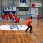 ZSŠDI, Skokičin vrtiljak: tretja etapa na Stadionu 1. maja