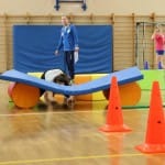 ZSŠDI: Jezikovni poligon na NSŠ Cirila in Metoda na Katinar
