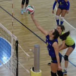 Sport - odbojka - 1. zenska divizija - Breg - Soca