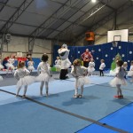 BOZICNICA CHEERDANCE MILLENIUM 2019