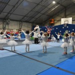 BOZICNICA CHEERDANCE MILLENIUM 2019