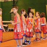 Sončkov dan: skupina v Gorici z nazivom Taras Grbac