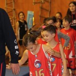 Domova novoletna akademija