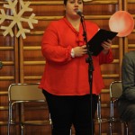 Domova novoletna akademija