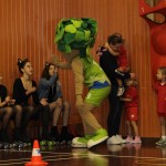 Domova novoletna akademija